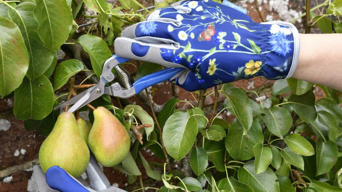 Handschuhe - Gartenhandschuhe - British Meadow - Lifestyle 2 - Burgon & Ball - Franks kleiner Garten