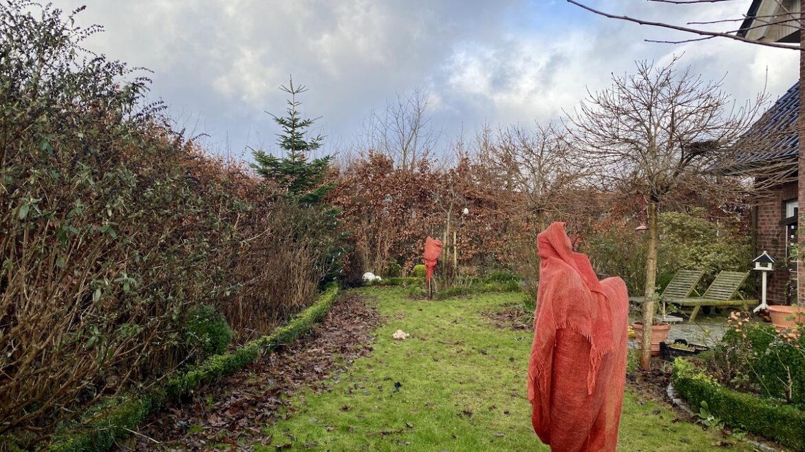 Januar - 2022 - Garten - Rasen - Beete - Rosen - Franks kleiner Garten