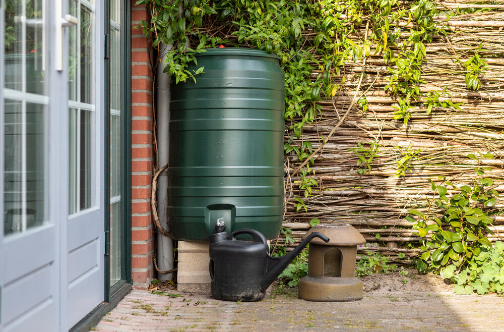 Regentonne-Starkregen-–-Weidenzaun-Lea-Rae-Franks-kleiner-Garten